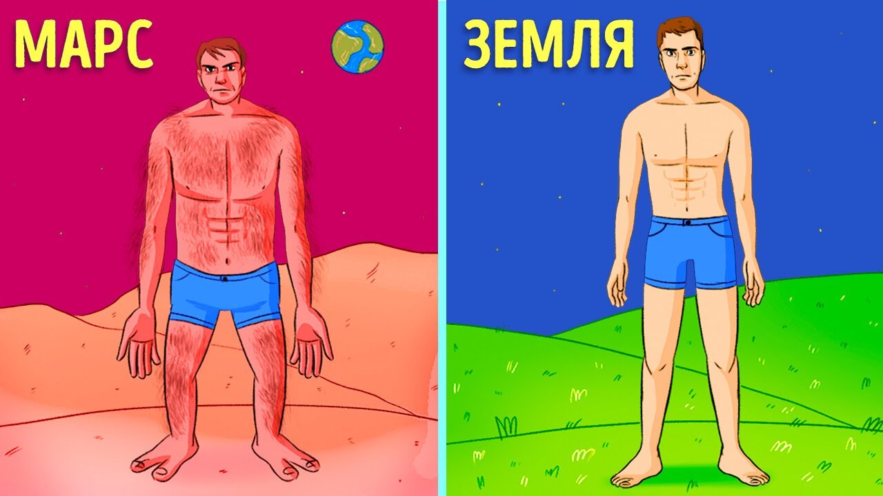 Как выглядело бы ваше тело на других планетах? Факты о космосе в 3D