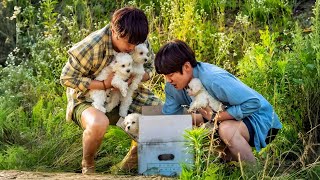 At first they just wanted to help puppy, but it turned into a business