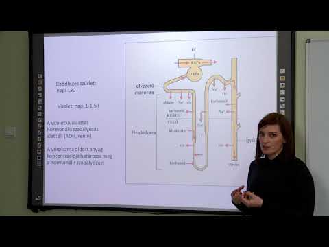 Hogyan lehet megszabadulni a krónikus prosztatitistól