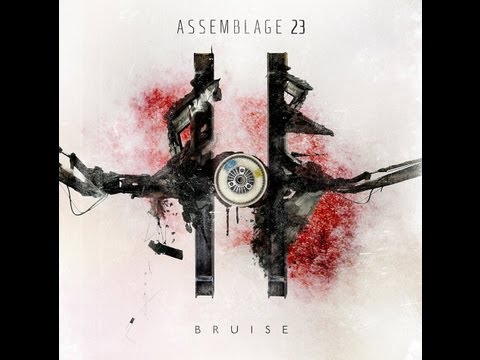 Assemblage 23 - Bruise [Review]