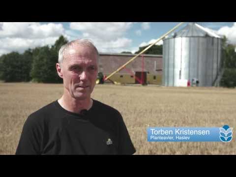 DANCORN Bin drying - Farmer, Torben Kristensen- English speak - English Version