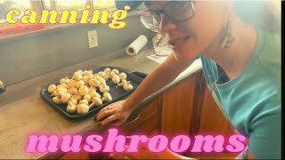 How to Pressure Can MUSHROOMS | Hamakua Homestead