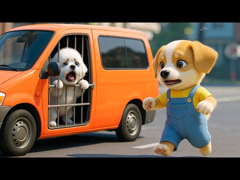 Baby Pubby Risks Everything to Save His Brother from a Bad Guy 🐾😢 A Heartwarming Rescue ❤️