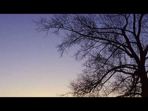 A snippet of《DJ Hercio - Eternal Trance week 258》