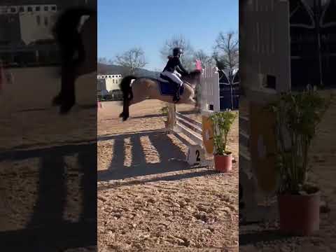 mega saltone💚🔥🔝