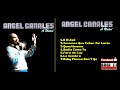 Angel Canales - A Usted