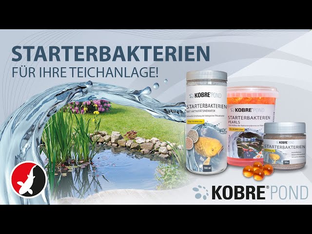 Video Teaser für Kobre®Pond Starterbakterien für Ihre Teichanlage!
