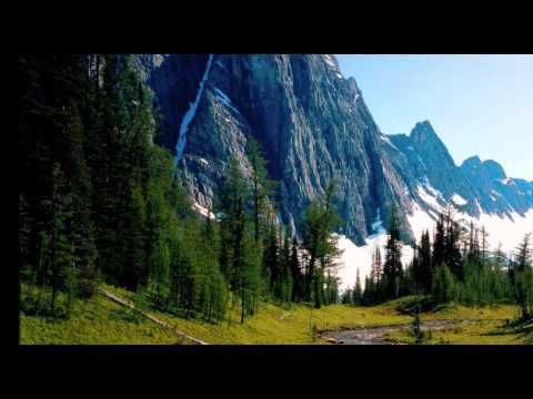 Sergey Nevone - Nature (Simon O'Shine Remix)