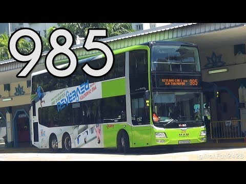 [SMRT] SG5800M on Service 985 - MAN ND323F A95 Gemilang