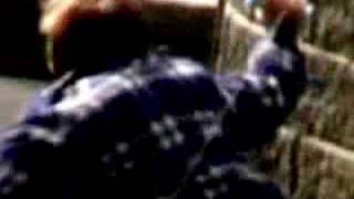 Devout Rationale Rag-Off