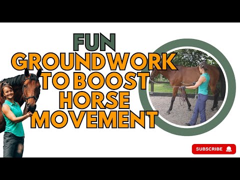 Fun Groundwork Exercises to Improve Horse Movement