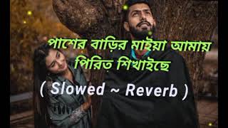 Download lagu পাশের বাড়ির মাইয়া আমায় পিরিত শিখাইছে ( Slowed ~ Reverb ) Saira Disi Khata Kolom | Full Lo-Fi Song mp3