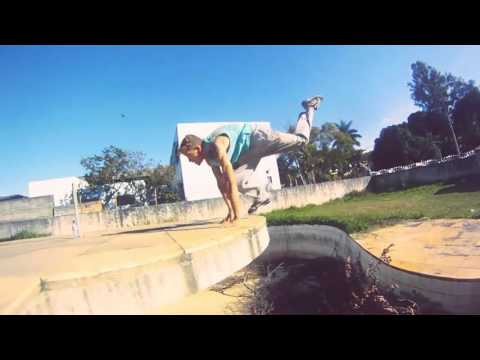 Bird Compilation (Parkour & Freerunning)