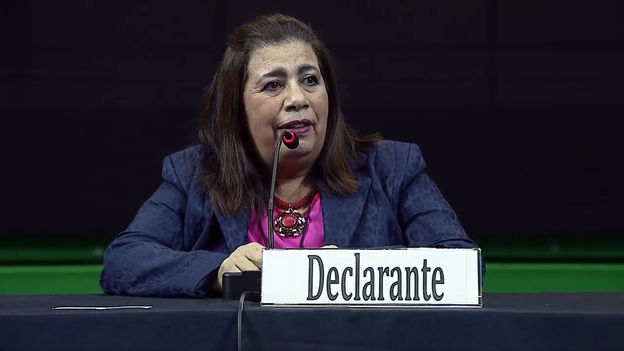 Audiencia Pública Caso Noguera y otros Vs. Paraguay Parte 2