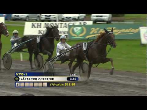 winrace TV: Die Highlights der V75-Schweden-Trabrennen vom 22.09.2012