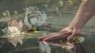 Joe Cocker   Unforgiven Lyrics