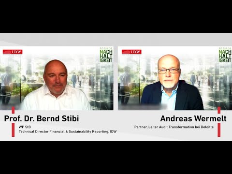 3#2 Prüfung eines nachhaltigkeitsbezogenen internen Kontrollsystems