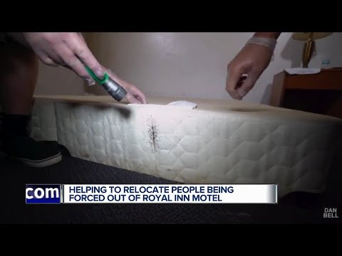 download lagu mp3 mp4 Music Road Inn Bed Bugs, download mp3 Music Road Inn Bed Bugs free download mp3, download mp3 Music Road Inn Bed Bugs