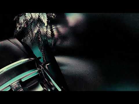 OKEIFLOU - RODANDO EN EL CAR [ VISUALIZER ]