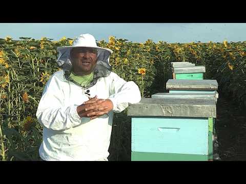 Boja meda ep. 76 20.08.2019. NAJAVA