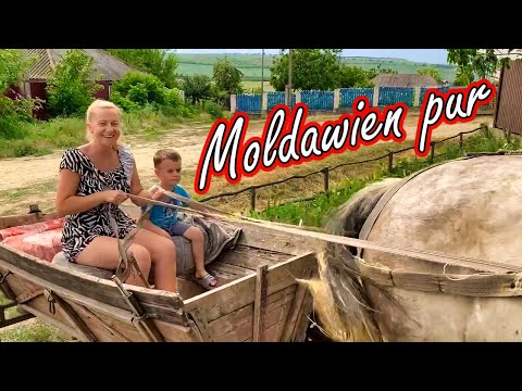 Entdeckung Moldawiens: Malerische Orte und hausgemachtes Kirschkompott