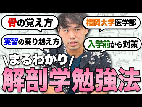 医学科 【タイパ良すぎ】現役医学生に解剖学を合格する秘訣を聞きました！