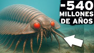 El Cámbrico: ¡La era en la que criaturas extrañas invadieron la Tierra! DOCUMENTAL Historia