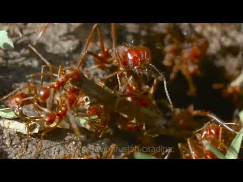 Carlo Hernández Taylor, Realización II,Práctica_2, ITESO, Comunicación y Artes Audiovisuales.