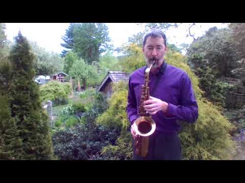Promotional video thumbnail 3 for Bruce Elliot Saxophone