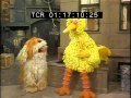 Classic Sesame Street Big Bird Tries Being A Dog 1979