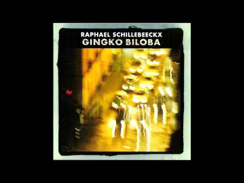 Raphael Schillebeeckx - The Core