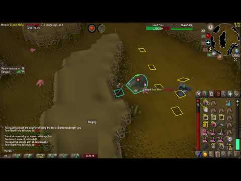 Can we get lucky at giant mole? - IM Giant Mole KC 555 !tbow !discord