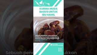 Konsumsi Kurma Muda Bagus untuk Wanita Hamil: Cegah Anemia hingga Bantu Kelancaran Persalinan