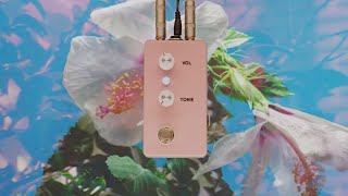 Video thumbnail for Montreal Assembly / Your and you're by НОЙЗ