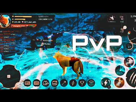 When you carry your whole team in PvP 🫠 || The Wolf