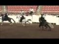Super fast speed racking horse at White Pine, TN ...