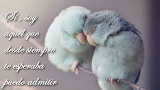 CARLOS RIVERA - TE ESPERABA ( letra ) 2018