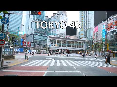 Tokyo 4K - Morning Drive - Ambient Drive TV