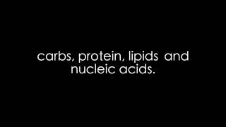 'Royals' Parody   'Macromolecules'
