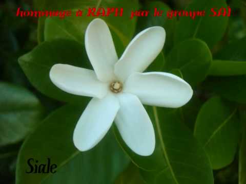 Siale (Raph & Kaviki) by Sai