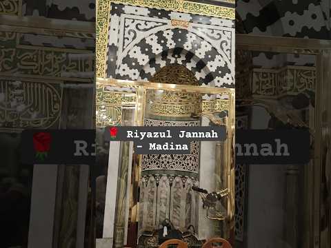 🌹 Riyazul Jannah Madina | Rawdah of Paradise in Masjid Nabawi ﷺ