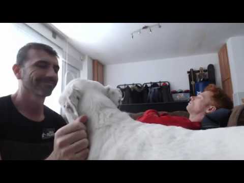 127-ES Jpelirrojo, El planeta de las células - Hipnosis Regresiva Calogero Grifasi