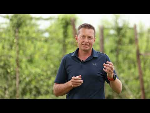 Phytech Customer Testimonial, Charl Marais, Roodehoogte Farm, South Africa logo