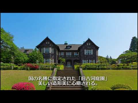 動画サムネイル