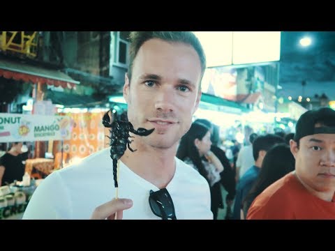 Bass Modulators Asia Tour 2017