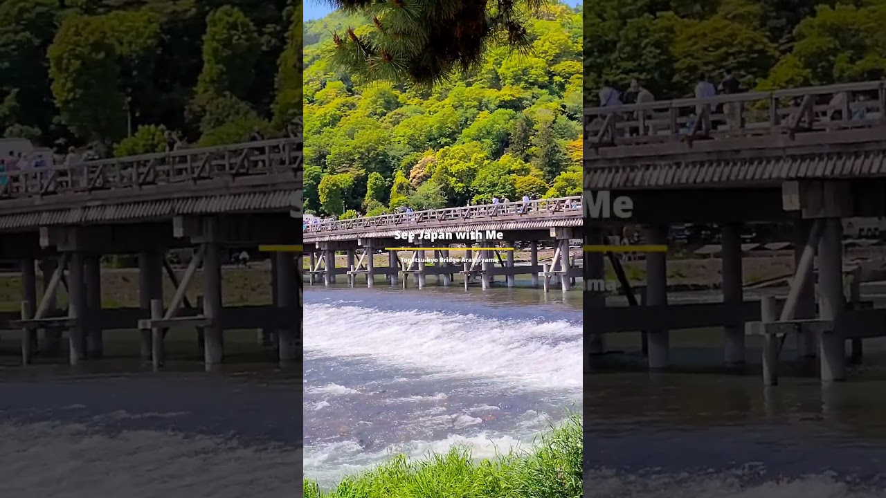 YouTube Short thumbnail