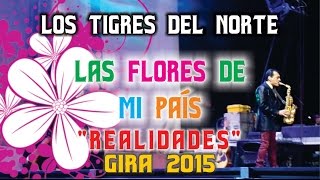 Los Tigres Del Norte -Las Flores De Mi País (en vivo) 2015