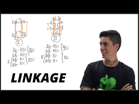 LIGAÇÃO GÊNICA (LINKAGE) - PROFESSOR GUSTAVO