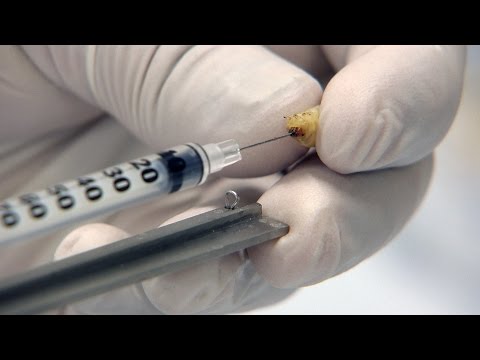 Using Phage Therapy to Prevent Bacterial Disease in Muga Silkworms