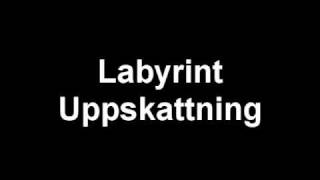 Labyrint - Uppskattning